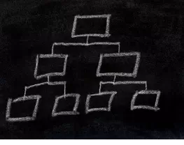 Bestuur en organisatie